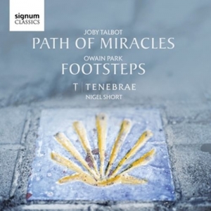 Cover - Footsteps/Path of Miracles