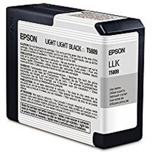 Cover - EPSON Tinte T580900 Li. Li.