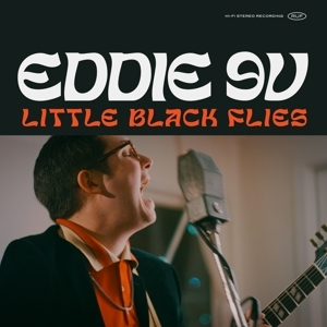 Cover - Little Black Flies