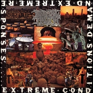 Cover - Extreme Conditions Demand Extreme Responses