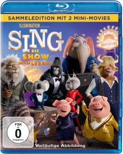 Cover - Sing-Die Show deines Lebens