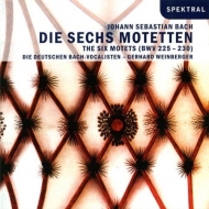 Die Deutschen Bach Vokalisten/Weinberge - Die Sechs Motetten