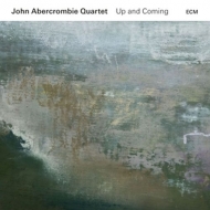 John Abercrombie Quartet - Elegy