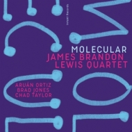 Lewis,James Brandon Quartet - Molecular