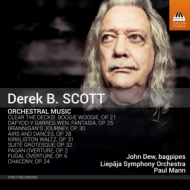Dew,John/Mann,Paul/Liepaja Symphony Orchestra - Orchestermusik