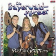 Die Bayerwaldflitzer - Pack die Geign aus