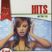 Various/Music is a Gift - Hits on the top