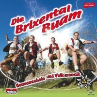 Brixental Buam,Die - Sonnenschein und Volksmusik