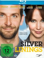 David O. Russell - Silver Linings