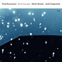 Tord Gustavsen/Simin Tander/Jarle Vespestad - What Was Said