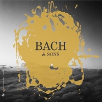 Beyer/Stern/Balestracci/Banchini/Gli Incogniti/+ - Bach & Sons