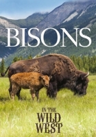 Documentation - Bisons In The Wild West