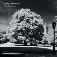 Grenadier,Larry - The Gleaners