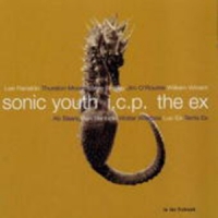 Sonic Youth & I.C.P. & The Ex - In The Fishtank