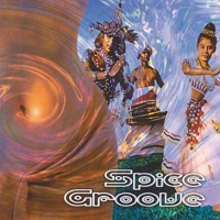 VARIOUS - SPICE GROOVE