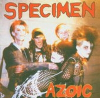 Specimen - Azoic