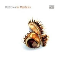 Diverse - Beethoven For Meditation